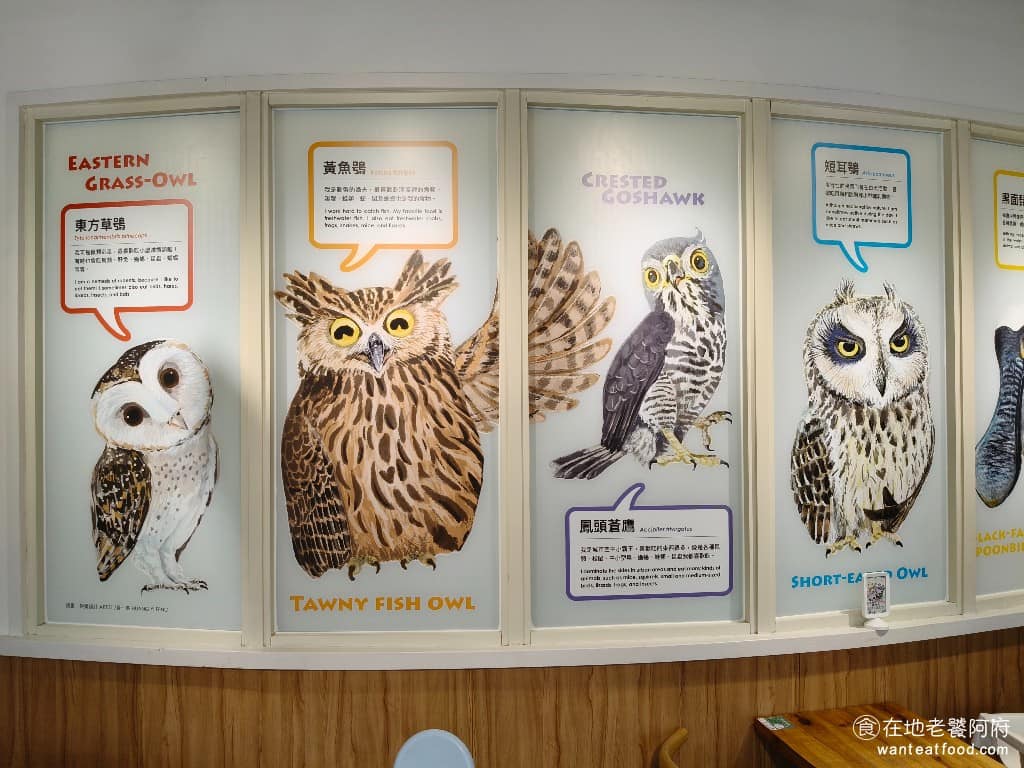 化石先生Mr. Fossil 貓熊餐廳 貓熊餐廳菜單 貓熊餐廳推薦 文山區美食 文山美食 動物園美食 餐廳內部特別邀請了生態畫家黃一峯，繪製台灣動物插畫，並附上物種說明，讓親子在用餐的同時，也能認識台灣野生動物。 @在地老饕阿府