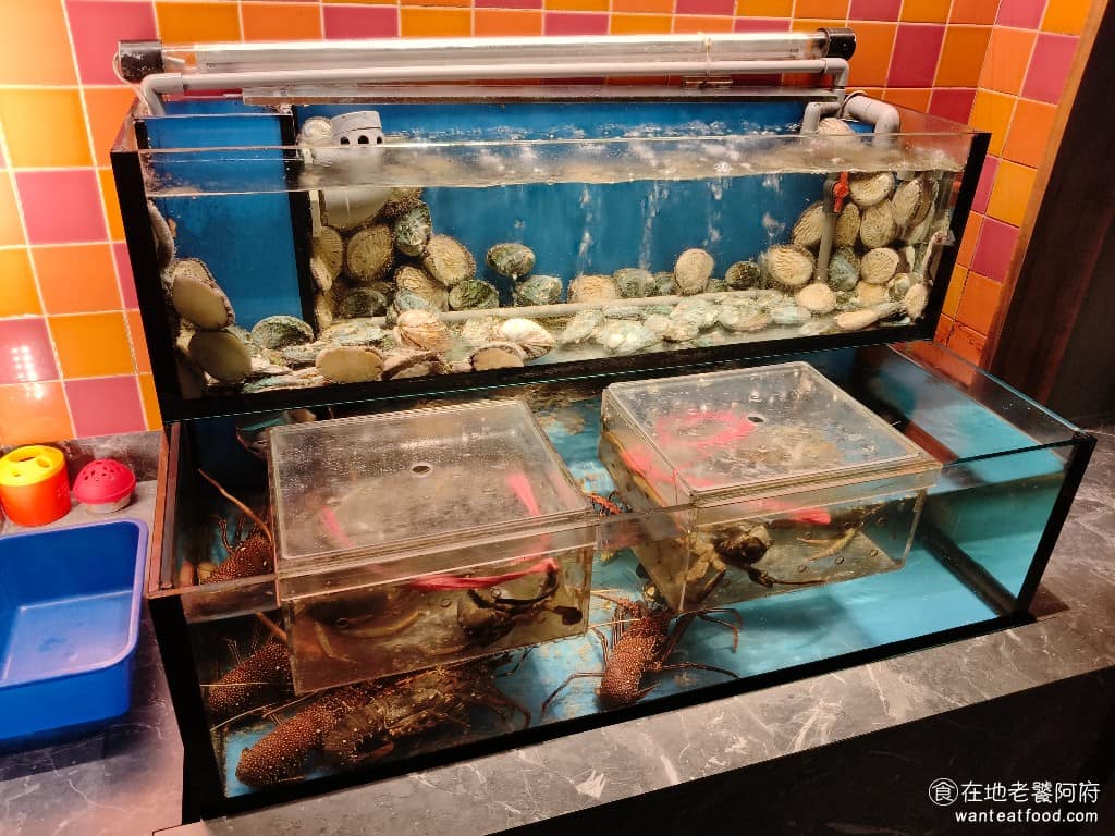 欣葉SHABU SHABU SHABU菜單 SHABU推薦 店內設有水產箱養殖生猛海鮮,提供現點、現撈、現煮的服務,像是宜蘭鮑魚、活龍蝦、大沙公,都是店家親自到產地挑選採購,每日從產地活送到店,確保食材的新鮮度。 @在地老饕阿府