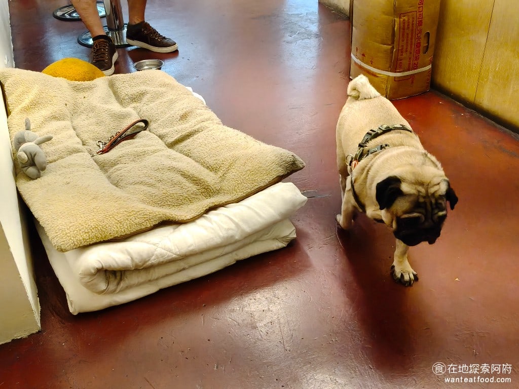 Three Pugs 三巴漢堡 by 巴巴餐車 巴巴餐車菜單 巴巴餐車價格 大安區美食 大安美食 狗狗的性情很溫和,只不過拍照的速度要很快,因為當牠看到你在拍牠的時候,牠就會躲鏡頭。 @在地老饕阿府